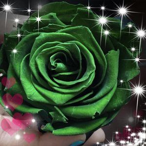 Meet your Posher, Anandita